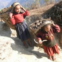 Everest Children